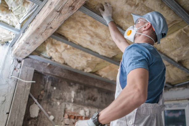 Best Insulation Materials and Products in Edmore, MI