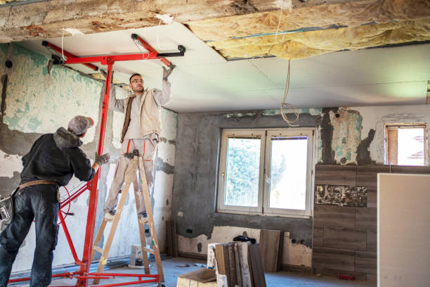 Best Insulation Installation Services in Edmore, MI